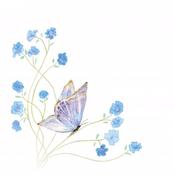 Butterfly Notelets Pack of 6 image