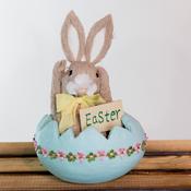 Easter Bunny Baby Boy in Egg
