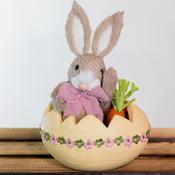 Easter Bunny Baby Girl in Egg