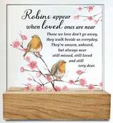 Glass Plaque/Wood Base/Robins Near You