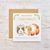 Guinea Pig Happy Birthday Sunshine Card image
