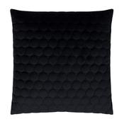 Scatterbox Cushion Halo Black image
