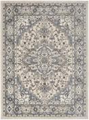 Nourison Quarry Rug QUA05 Ivory Blue image