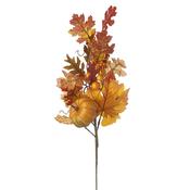 Velvet Pumpkin Autumnal Leaf Branch