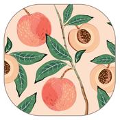 iStyle Peach Tree Velvet-Backed Coasters Set of 4 image