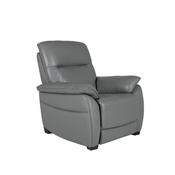 Nerano Recliner Chair Steel image