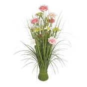 Wildfower Dahlia Bundle 70cm