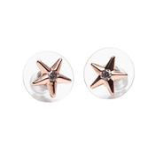 Newgrange Rosegold Star Earrings image