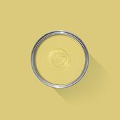 Farrow &amp; Ball Paint Citrona No.CC3