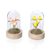 Floral Serenade Glass Dome Centrepiece with LED Rosebuds, Decorative Tabletop Ornaments