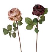 Stem Flower Decorative Rose