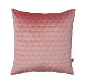 Scatterbox cushions ez living new arrivals