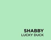 Fleetwood Shabbyie Furniture Paint Collection  Lucky Duck