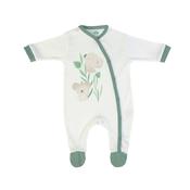 F.S. Baby Organic Green Babygrow image