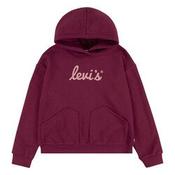 Levi's Poster Logo Hoodie