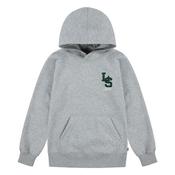 Levis Grey Heather Hoodie image