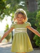 Cocote Lime Green Dress image