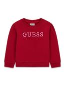 Guess Berry Crew Neck Sweater