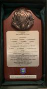 Accolade Sports Plaques Tipperary Football Munster Champions