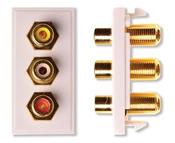 3x RCA (Yellow, Red, White) Module