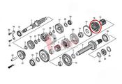 Gear Countershaft Fourth TRX500 05-11