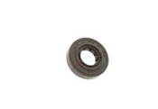 trx300 gear seal