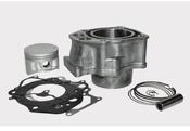Cylinder kit Honda trx420 09-25