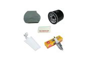 Yamaha Grizzly YFM550/700 Service Kit image