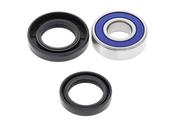 Yamaha YFM250/350/400/450/550/600/660/700 Lower Steering Bearing