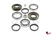 REAR DIFFERENTIAL KIT HONDA TRX250 97-17
