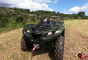 NEW Yamaha Kodiak YFM450