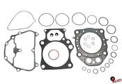 Complete gasket set  Trx420 09-10 image
