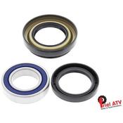 Axle Bearing Kit Rear TRX300 image