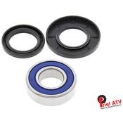 LOWER STEERING BEARINGS TRX350