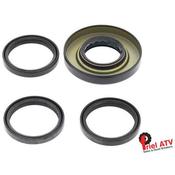 Differential Seal Kit - Rear TRX 250