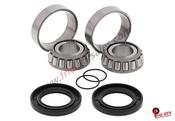 Yamaha Swing Arm Bearings