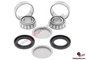 SWING ARM BEARING KIT TRX400FA