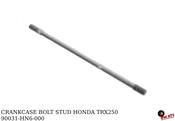 CRANKCASE BOLT STUD HONDA TRX250 01-21 image