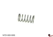 VALVE SPRING HONDA TRX
