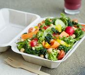 Bagasse Food Trays