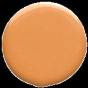 Halo Pumpkin Spice image