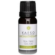 Kaeso Essential Oil Tea Tree 10ml image