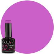 Gelluv Enchanted