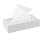 SS Luxury Facial Tissue image