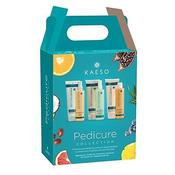 Kaeso Pedicure Kit