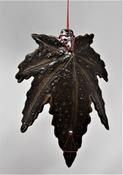 Maple Leaf  Med image