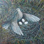 Dove