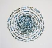 Framed Fish Shoal 2 (X Lg) image