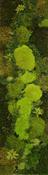 Ancient Undergrowth