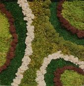 Earthland 1